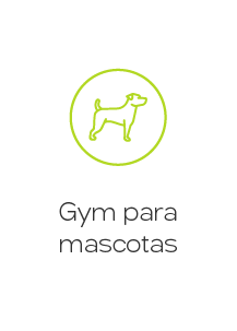 Apartamentos VIS en Bucaramanga